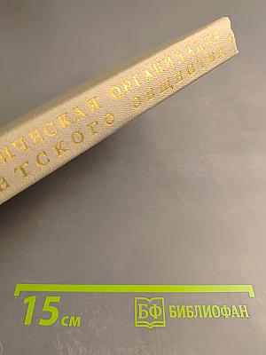 Политическая организация Советского общества