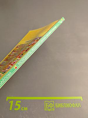 Монодиеты: яблочная, соковая, рисовая и другие