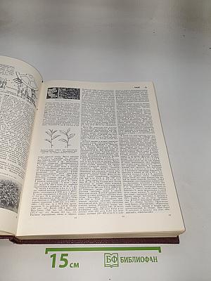 Большая Советская Энциклопедия. Том 29: Чаган – Экс-Ле-Бен