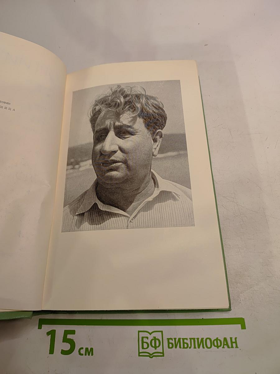 Георгий Гулиа. Избранные произведения. Том первый