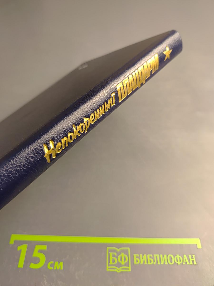 Непокоренный ПЛАЦДАРМ 1941-1944