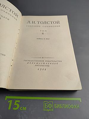 Война и мир. Том 6
