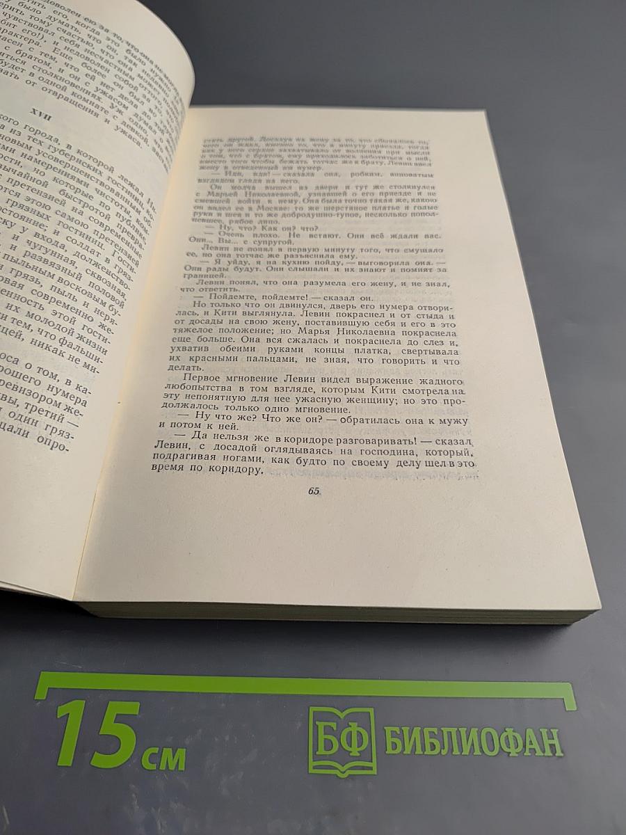 Анна Каренина. Роман в восьми частях. Том 9