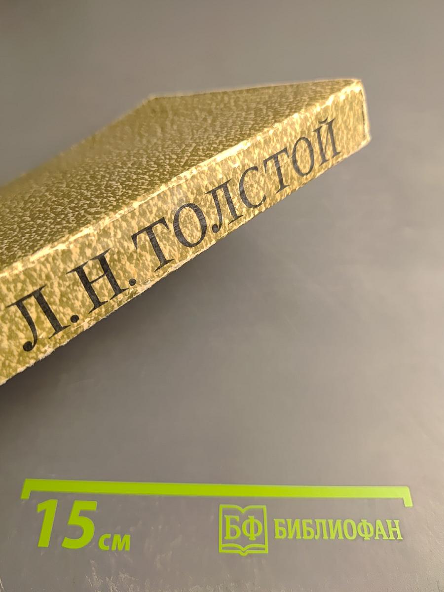 Анна Каренина. Роман в восьми частях. Том 9