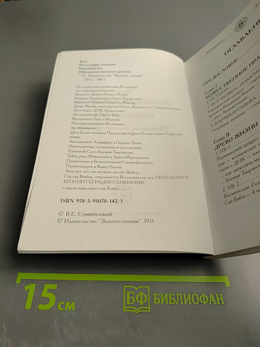 Интеграция сознания. Перезагрузка (Материалы золотого архива)