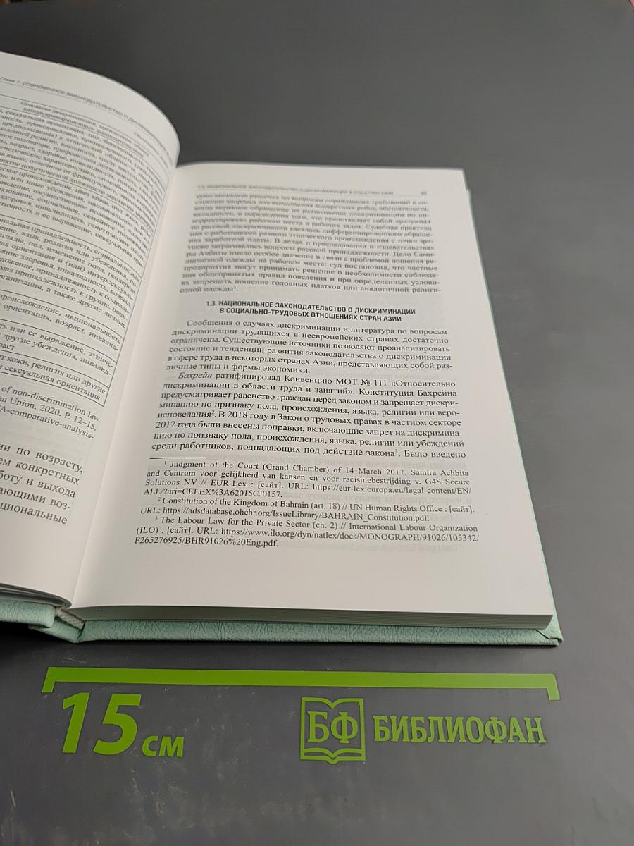От социального насилия к социальному государству: Исторический опыт преодоления дискриминации в трудовых отношениях (Социально-трудовые конфликты, Выпуск 40)