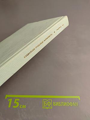 От социального насилия к социальному государству: Исторический опыт преодоления дискриминации в трудовых отношениях (Социально-трудовые конфликты, Выпуск 40)