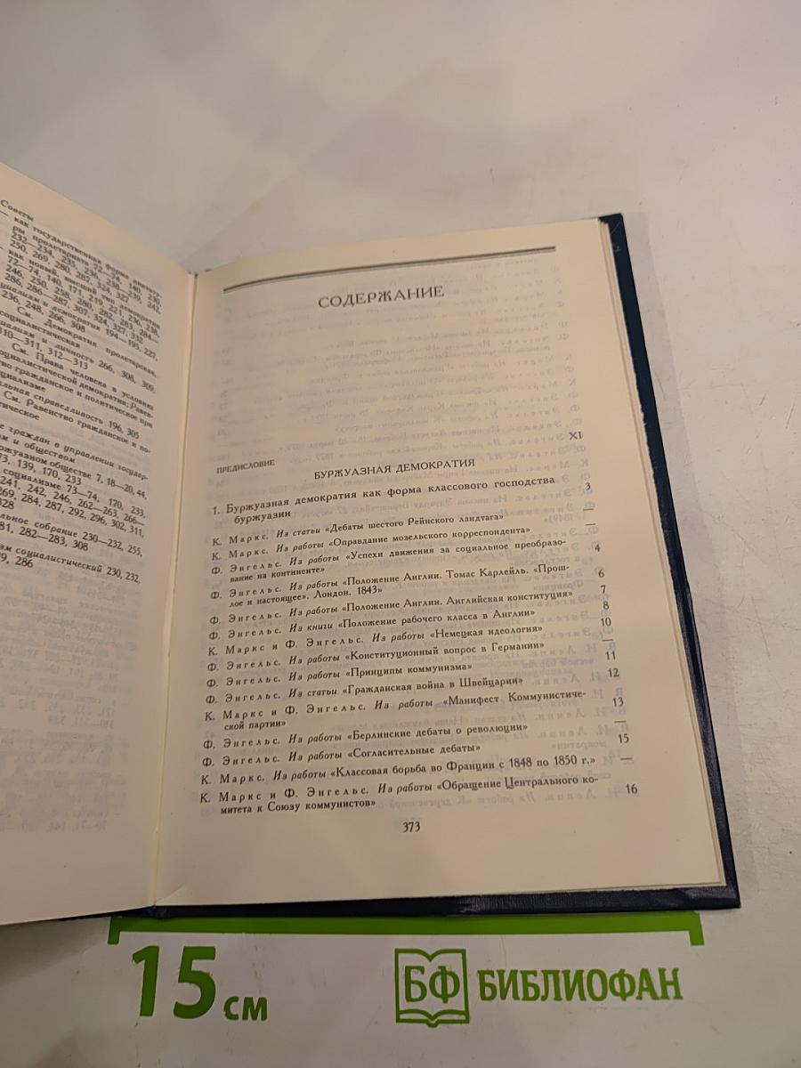О буржуазной и социалистической демократии