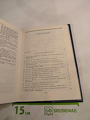 О буржуазной и социалистической демократии