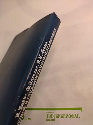 О буржуазной и социалистической демократии