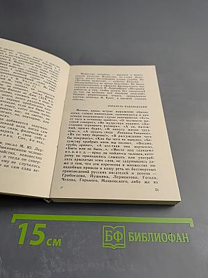 Меткость слова