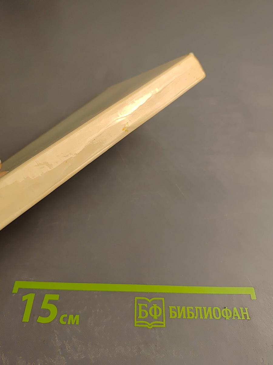 Меткость слова