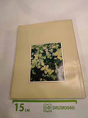 Лидия Тимошенко. Художник и личность