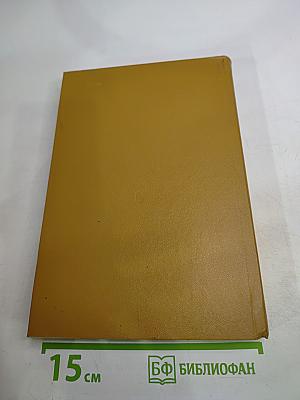 Школьный англо-русский словарь: Пособие для учащихся