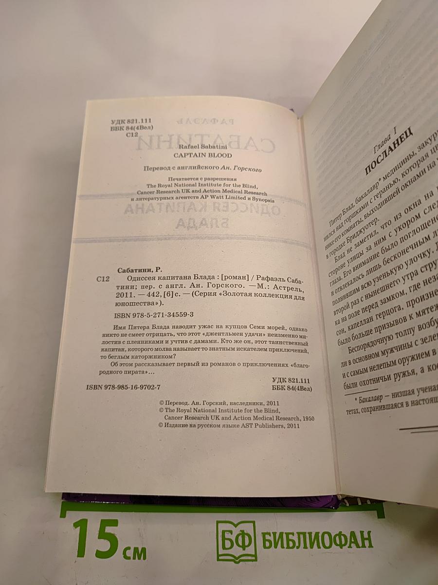 Одиссея капитана Блада