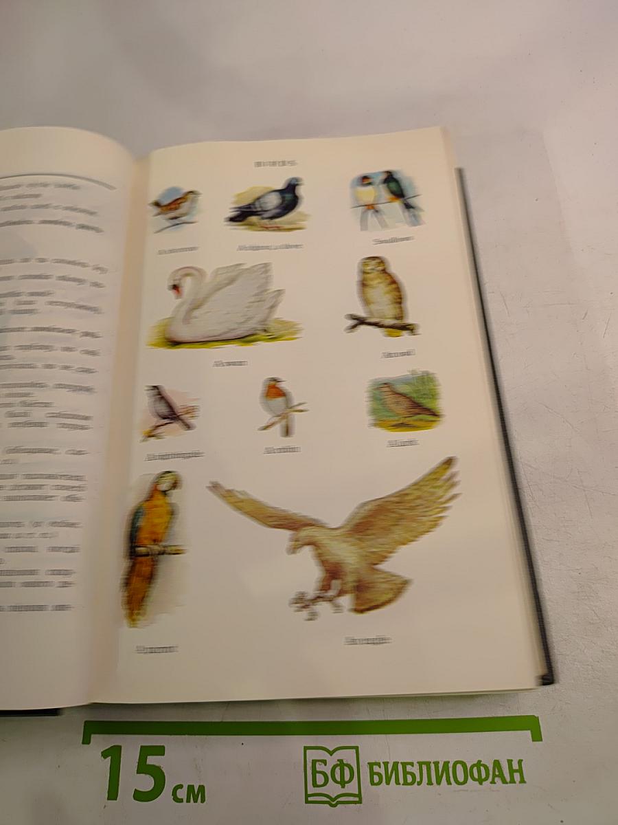 Англо-русский словарь с иллюстрациями