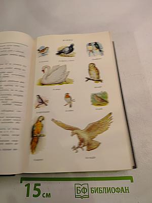 Англо-русский словарь с иллюстрациями