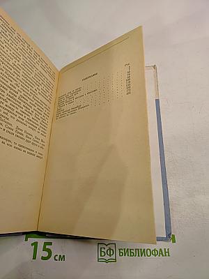 Те триста рассветов...