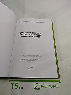 Цифровая трансформация социального обеспечения в современной России