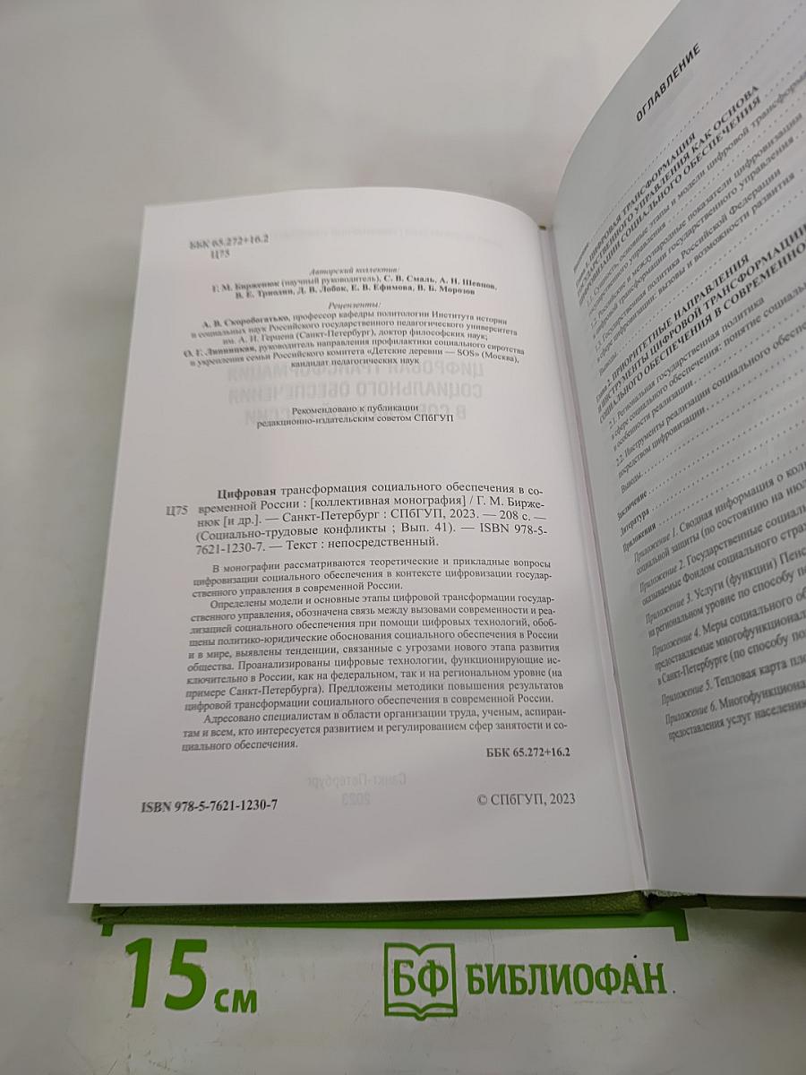 Цифровая трансформация социального обеспечения в современной России