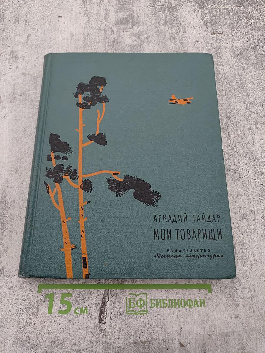 Мои товарищи