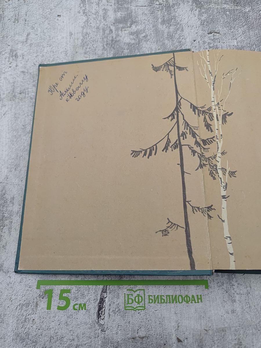 Мои товарищи