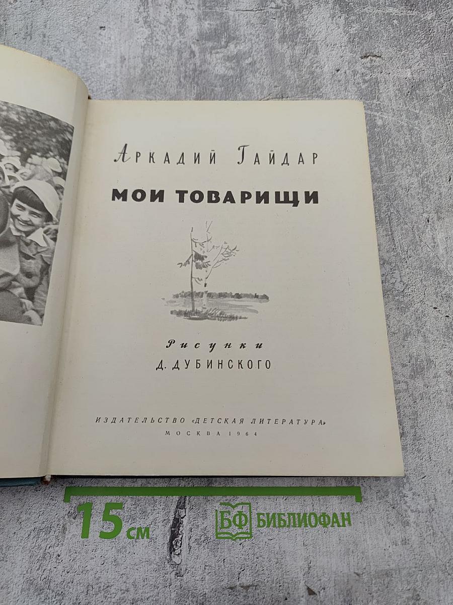 Мои товарищи