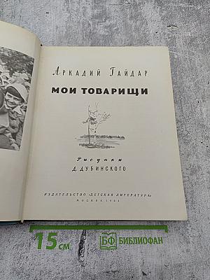 Мои товарищи