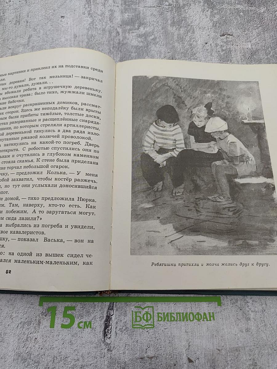 Мои товарищи