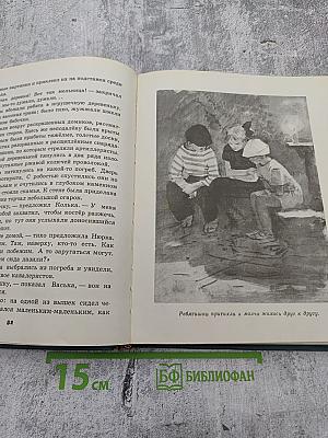 Мои товарищи