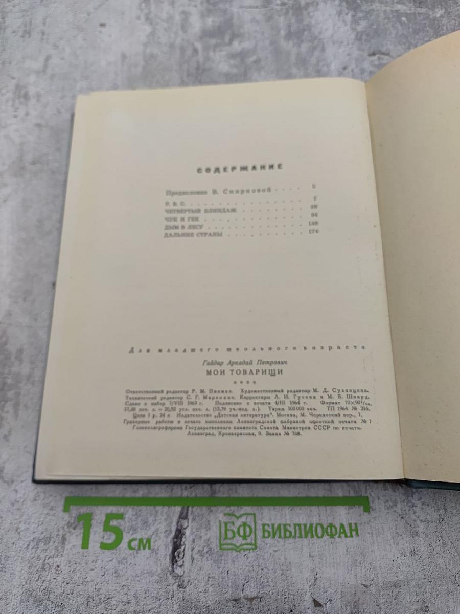 Мои товарищи