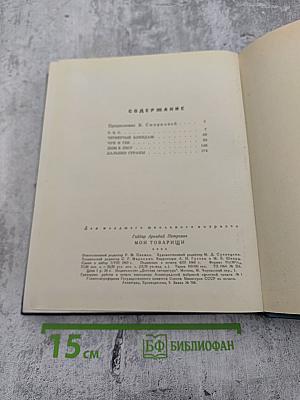 Мои товарищи