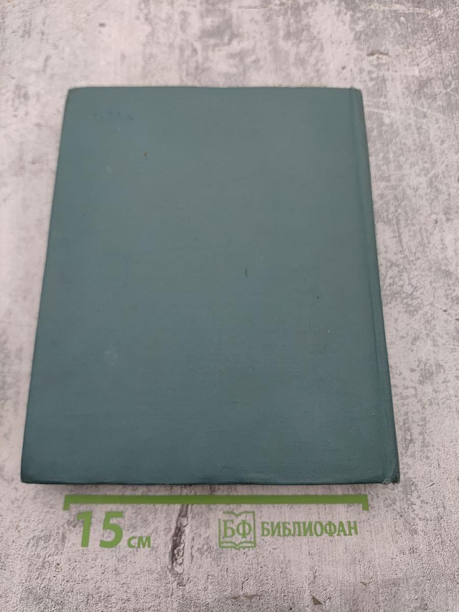 Мои товарищи