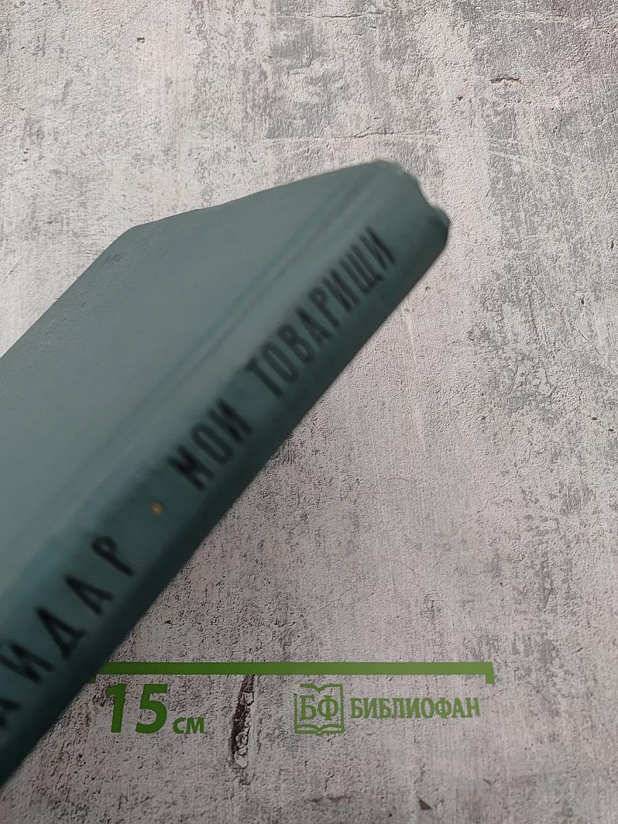 Мои товарищи