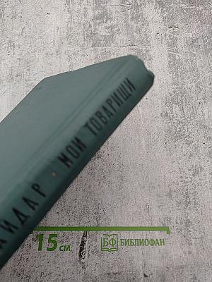 Мои товарищи