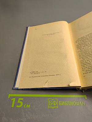 Снежные поля