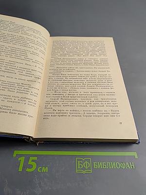 Снежные поля