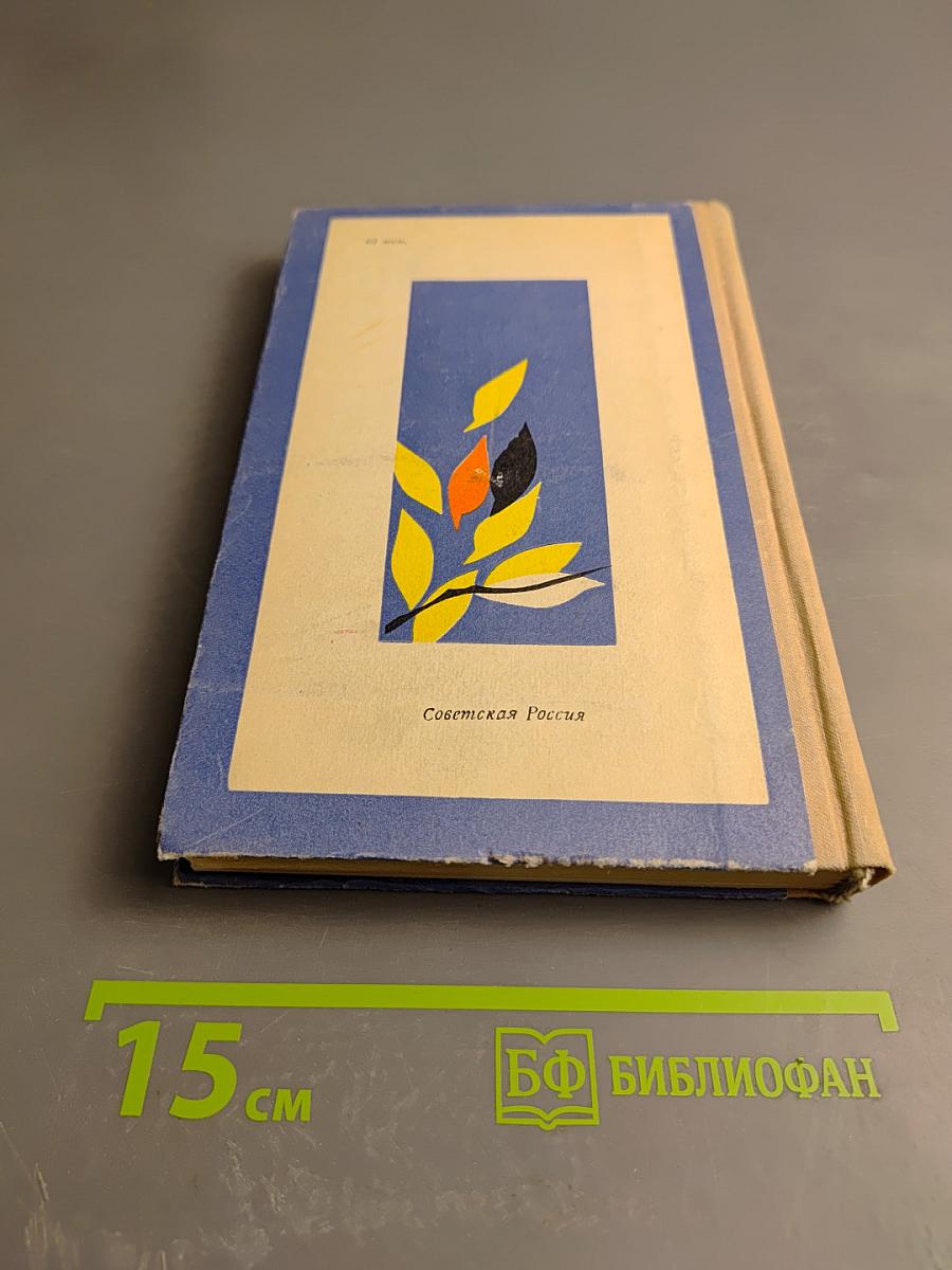 Снежные поля