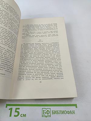 Анна Каренина. Роман в восьми частях. Том 9