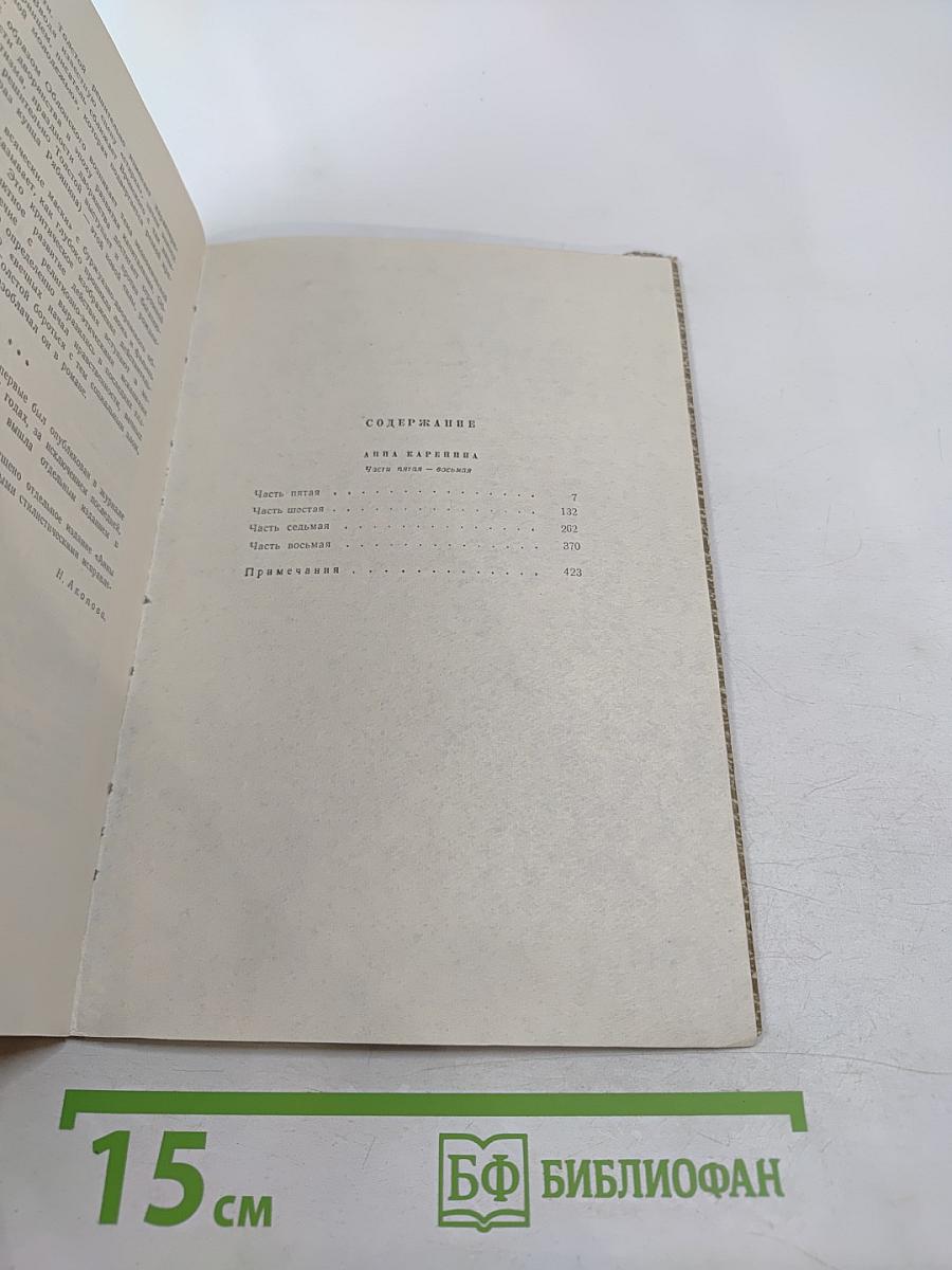 Анна Каренина. Роман в восьми частях. Том 9