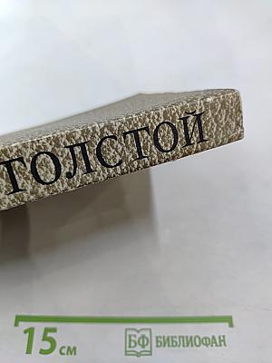 Анна Каренина. Роман в восьми частях. Том 9