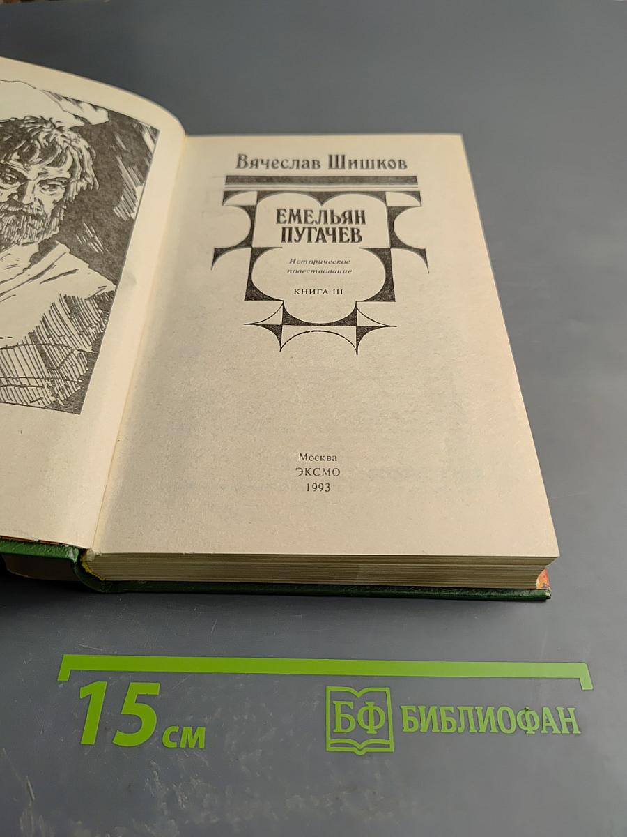 Емельян Пугачев. Книга III