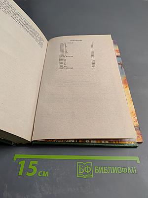 Емельян Пугачев. Книга III