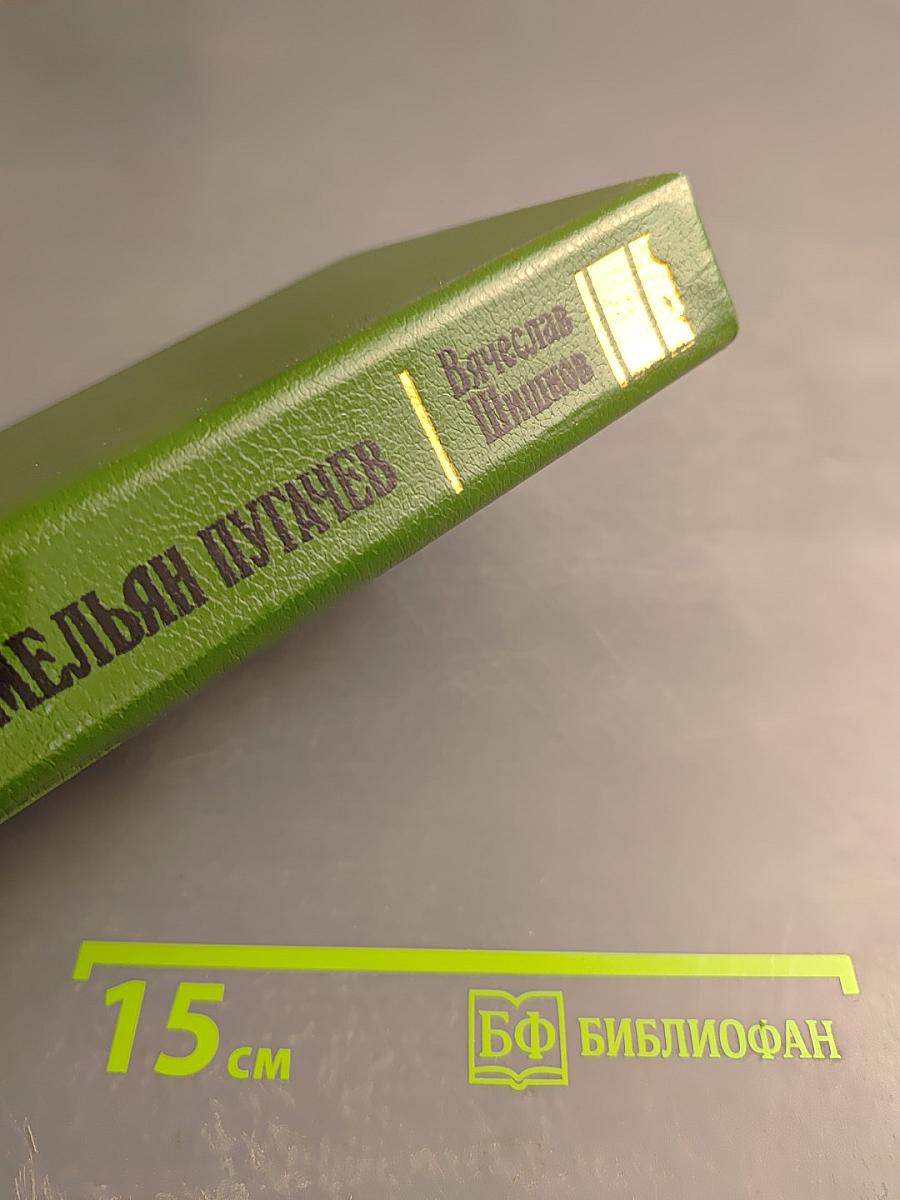 Емельян Пугачев. Книга I