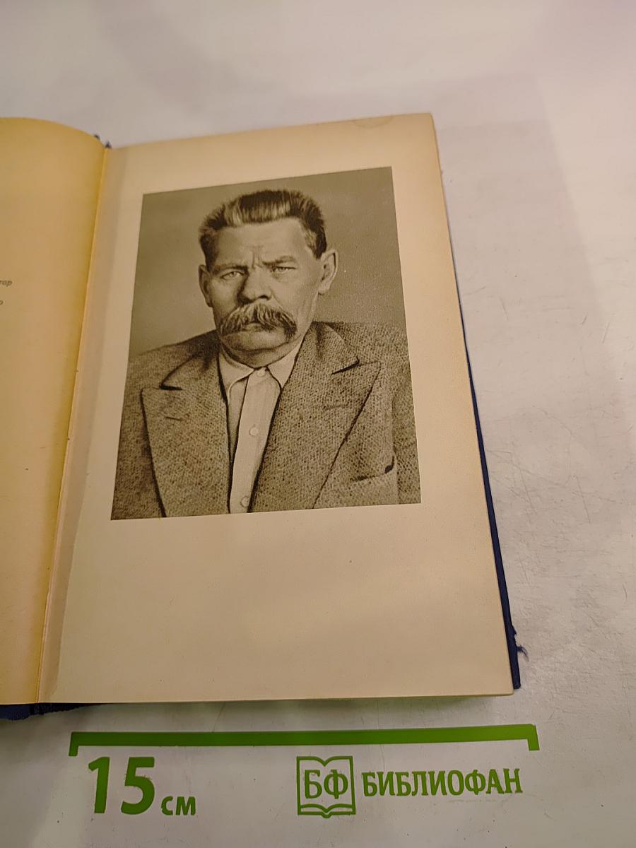 М. Горький в воспоминаниях современников