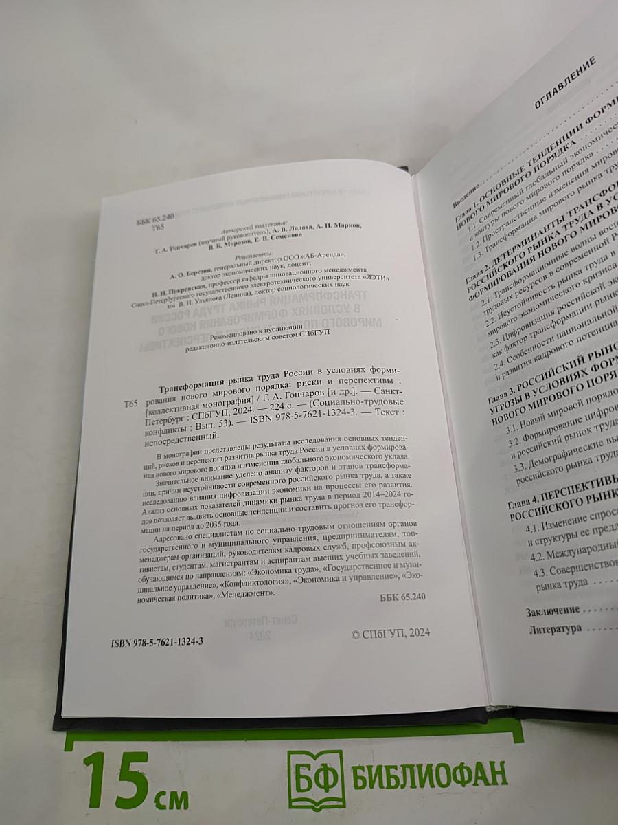 Трансформация рынка труда России в условиях формирования нового мирового порядка: риски и перспективы. Выпуск 53