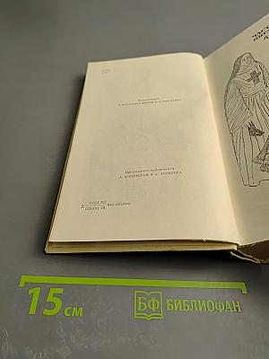 Виконт де Бражелон, или Десять лет спустя. Том III. Части 5, 6