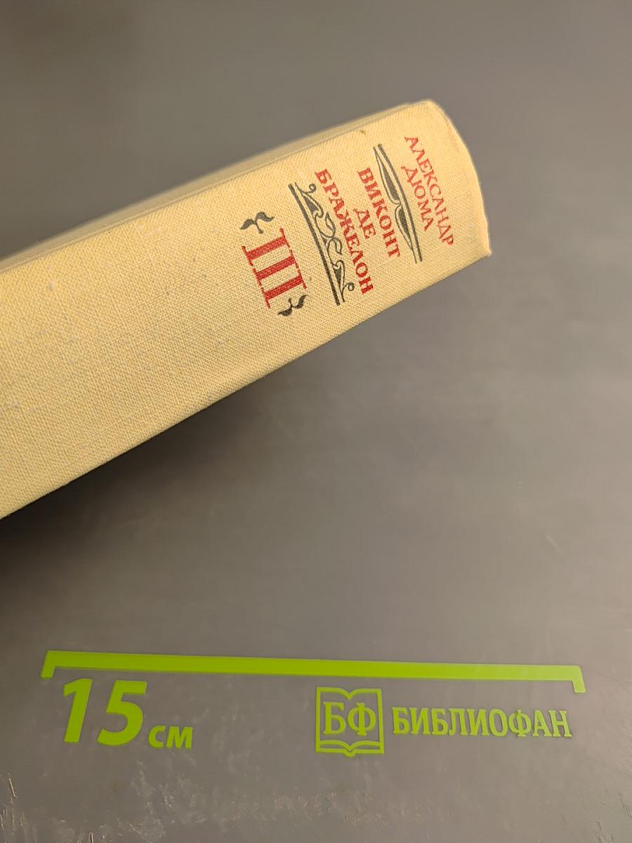 Виконт де Бражелон, или Десять лет спустя. Том III. Части 5, 6