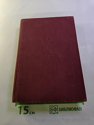 Л.Н. Толстой. Собрание художественных произведений. Том 11: Воскресение
