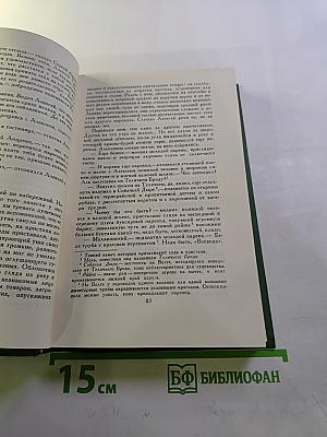 Собрание сочинений в шести томах. Том 3. В лесах. Книга вторая